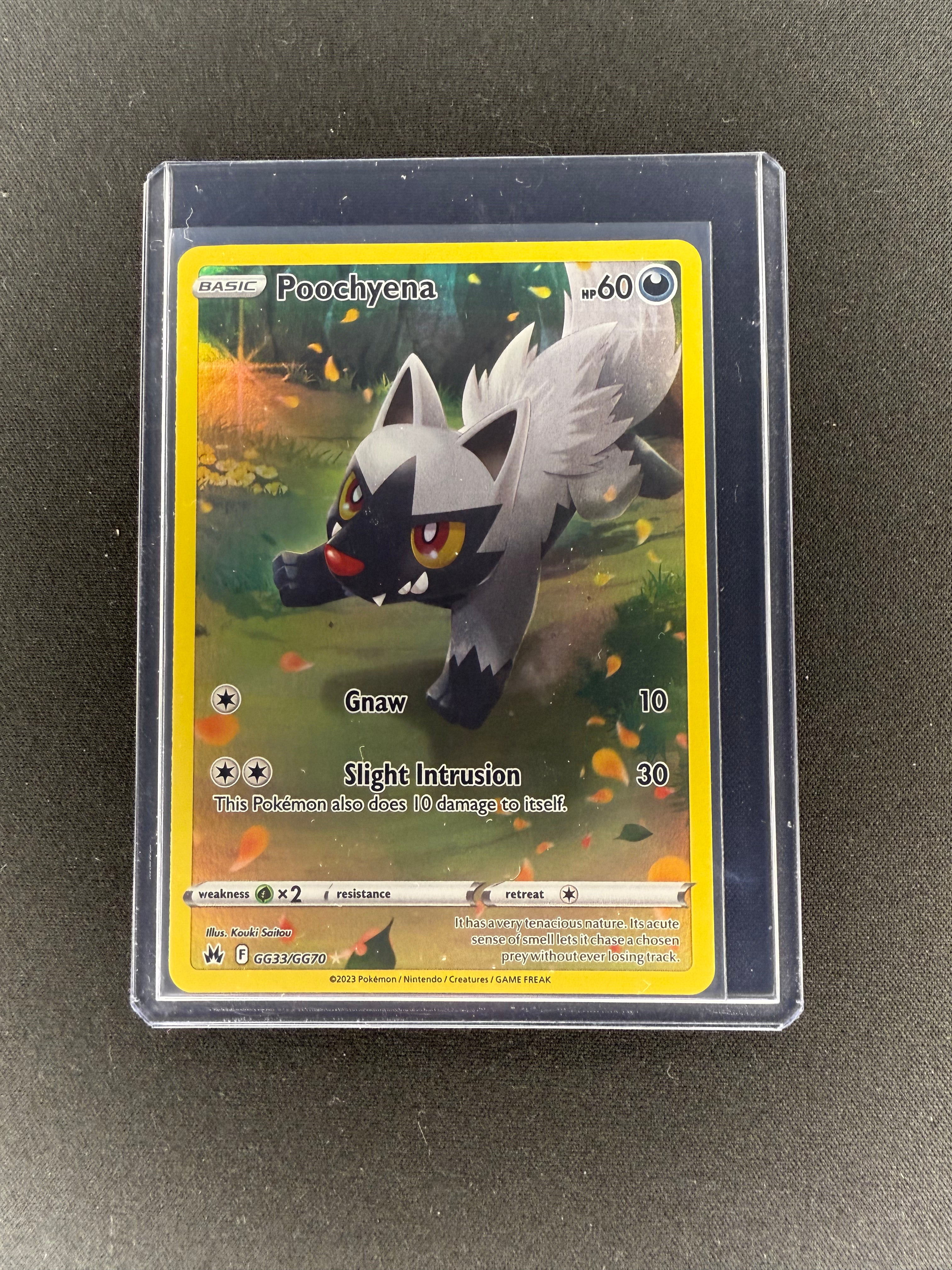 Pokémon TCG Poochyena Crown Zenith Gg33/Gg70 Holo Rare